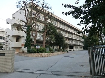 townhouse 東京都町田市森野１丁目31-10　渋谷グリーンテラスⅡ1F