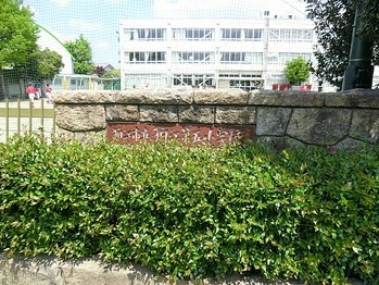 apartment 東京都町田市森野１丁目31-10　渋谷グリーンテラスⅡ1F