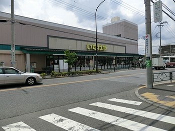 apartment 東京都町田市森野１丁目31-10　渋谷グリーンテラスⅡ1F
