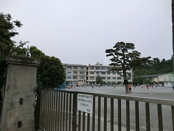 apartment 東京都町田市森野１丁目31-10　渋谷グリーンテラスⅡ1F