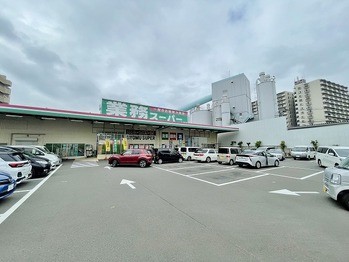 apartment 東京都町田市森野１丁目31-10　渋谷グリーンテラスⅡ1F