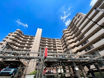 apartment 東京都町田市森野１丁目31-10　渋谷グリーンテラスⅡ1F