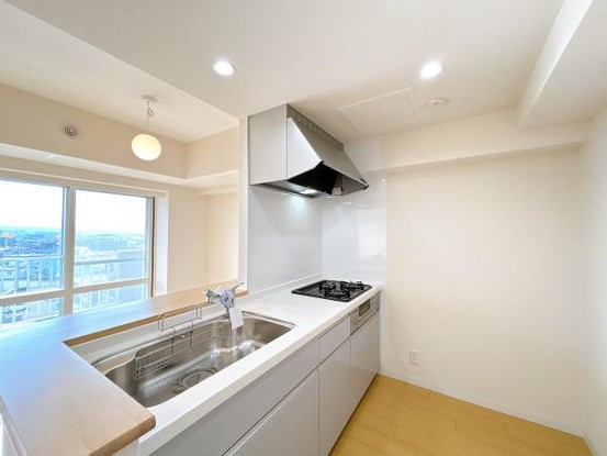 apartment 北海道札幌市白石区北郷一条１丁目5番13号