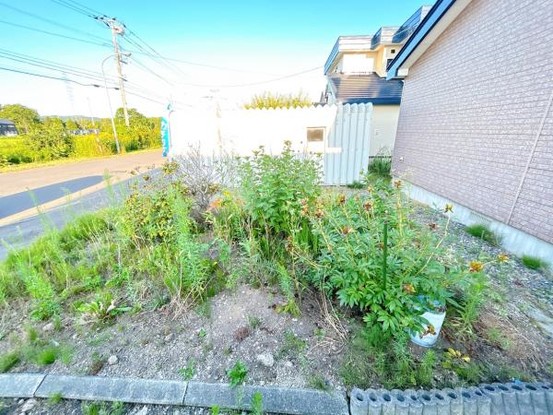 detached 北海道岩見沢市南町八条２丁目2番12号　小田ﾋﾞﾙ1F