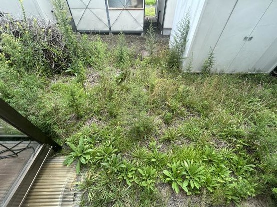 detached 岩手県紫波郡紫波町高水寺字中田
地図を見る