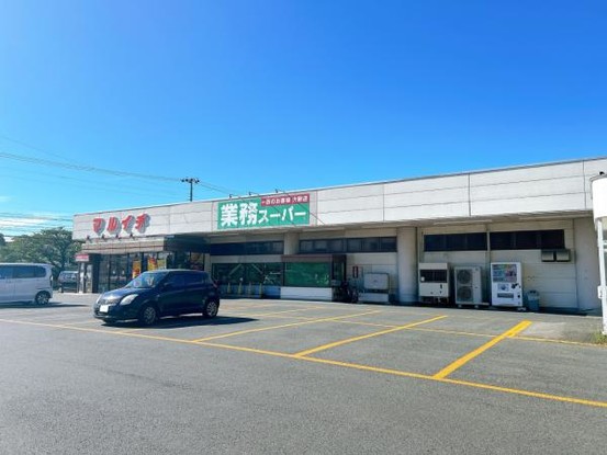 detached 岩手県盛岡市三本柳１０地割56-7　第三ミネルバビル　1階B号室