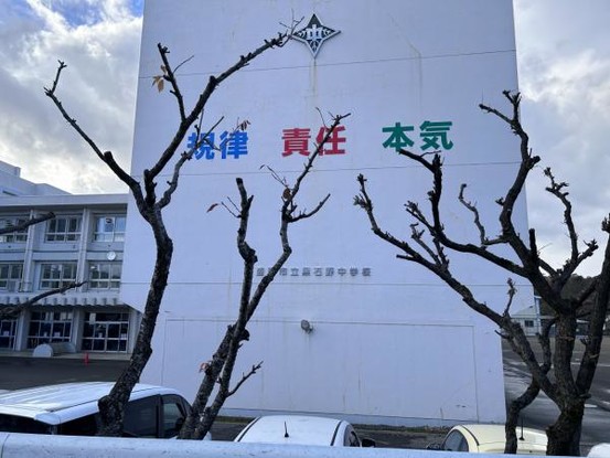 detached 岩手県盛岡市三本柳１０地割56-7　第三ミネルバビル　1階B号室