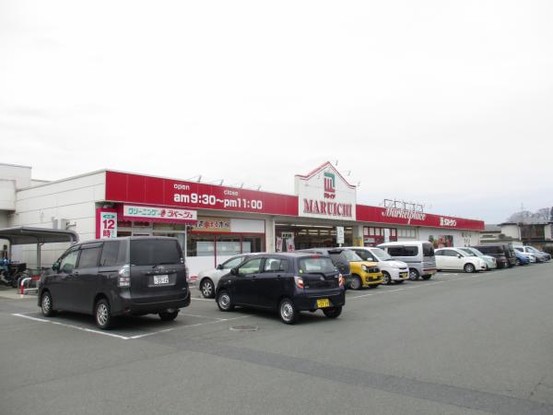 detached 岩手県盛岡市三本柳１０地割56-7　第三ミネルバビル　1階B号室