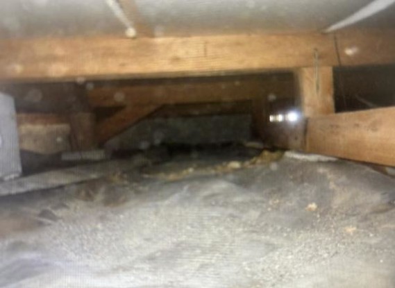 detached 宮城県仙台市青葉区木町通２丁目1-33　伊澤竹に雀ビル212