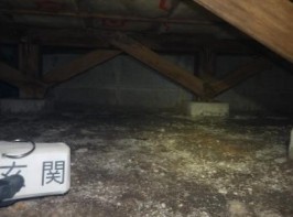 detached 宮城県仙台市青葉区木町通２丁目1-33　伊澤竹に雀ビル212