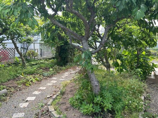 detached 福島県福島市野田町７丁目１２－３８野田プラザ２号室