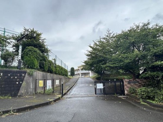detached 茨城県つくば市上横場253-1 M.Iビル2-A