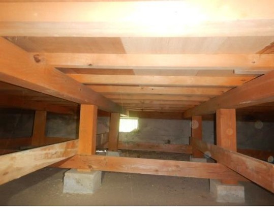 detached 茨城県つくば市上横場253-1 M.Iビル2-A