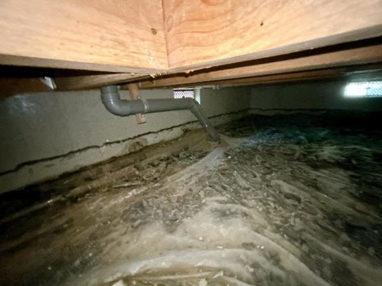 detached 茨城県つくば市上横場253-1 M.Iビル2-A