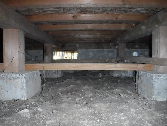 detached 茨城県つくば市上横場253-1 M.Iビル2-A