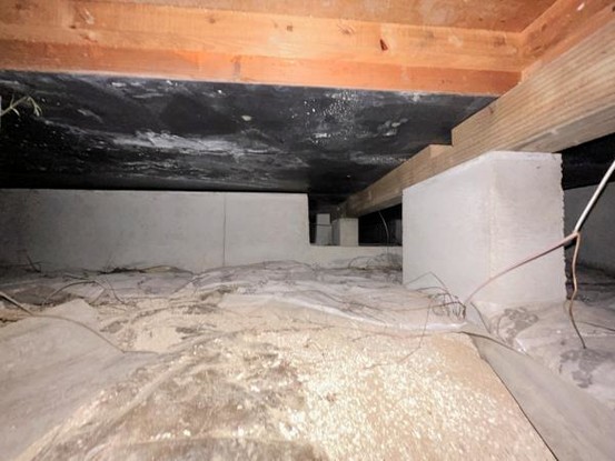 detached 栃木県宇都宮市大和１丁目8-5 グランド陽南1F