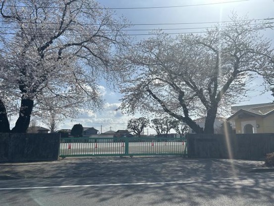 detached 栃木県小山市城北５丁目15-11 峯ビル 1階