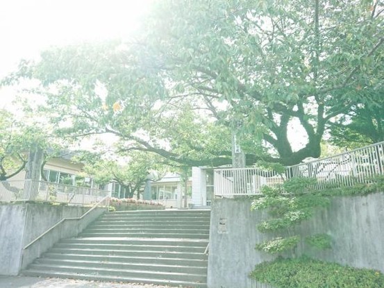 detached 長野県上伊那郡宮田村大原
地図を見る