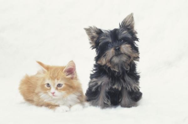 detached 長野県駒ヶ根市下平
地図を見る