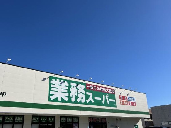 apartment 静岡県静岡市駿河区下島114蔵敷ビル２階 1号室