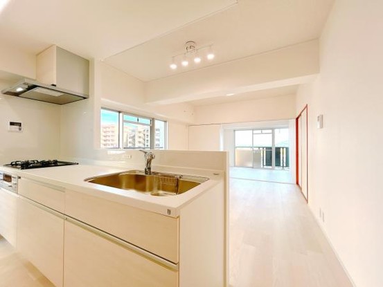 apartment 岐阜県岐阜市鏡島精華１丁目3-17岐陽第一ビル7階北