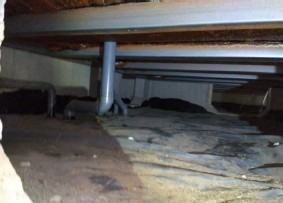 detached 岐阜県岐阜市鏡島精華１丁目3-17岐陽第一ビル7階北