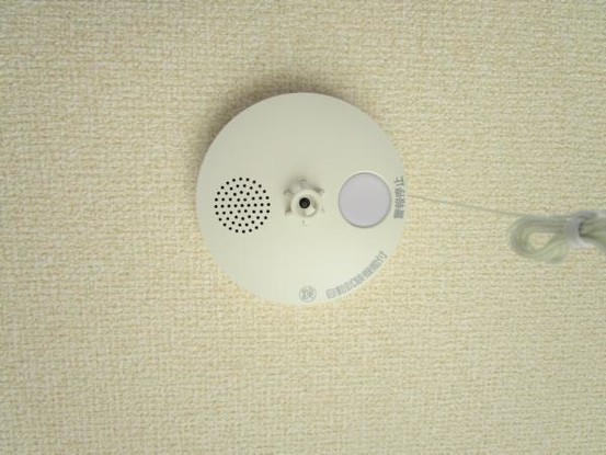 detached 岐阜県岐阜市鏡島精華１丁目3-17岐陽第一ビル7階北