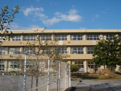 detached 岐阜県大垣市高屋町３丁目38　エムサビル2F