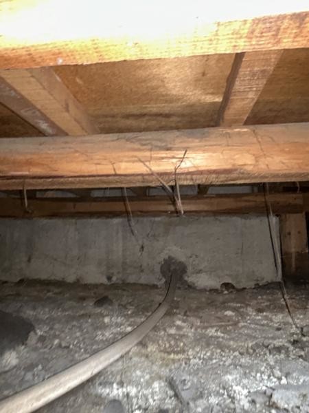 detached 岐阜県大垣市高屋町３丁目38　エムサビル2F
