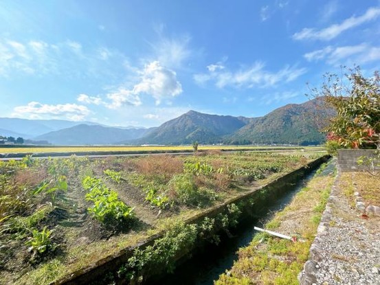 detached 福井県大野市右近次郎
地図を見る