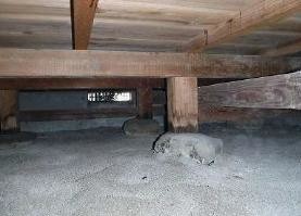 detached 福井県吉田郡永平寺町法寺岡
地図を見る
