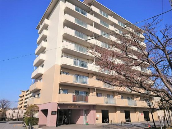 apartment 滋賀県彦根市芹川町
地図を見る