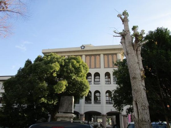 apartment 滋賀県彦根市小泉町300番地9　サンロードビルⅡ　403号室