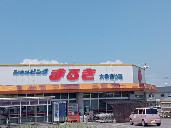 detached 山口県山口市平井601-1　ハイツ大蔵102