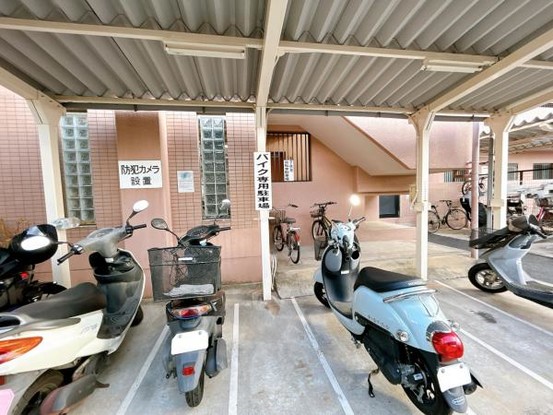 apartment 広島県福山市南蔵王町２丁目4-18フローレンス南蔵王　1階北