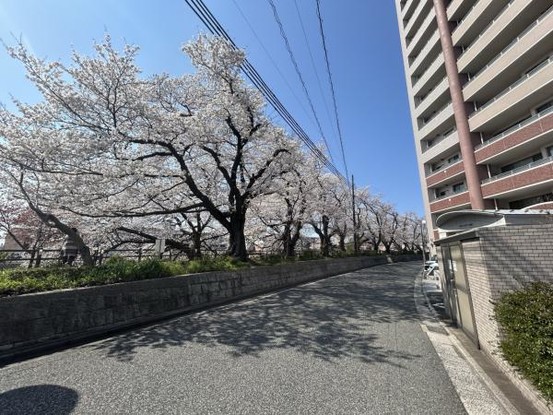 apartment 鳥取県鳥取市川端５丁目
地図を見る