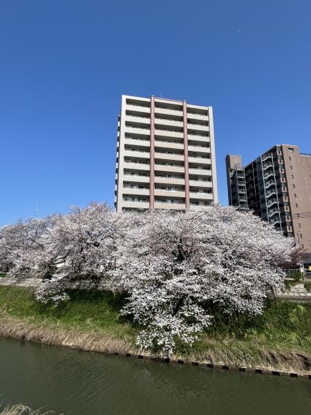 apartment 鳥取県鳥取市川端５丁目
地図を見る