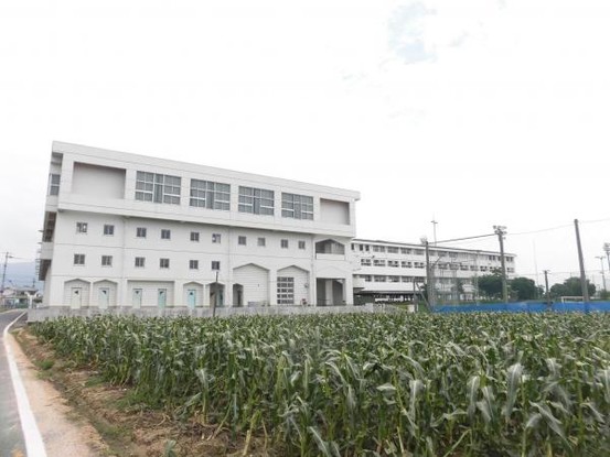 detached 徳島県阿波市吉野町柿原字原
地図を見る