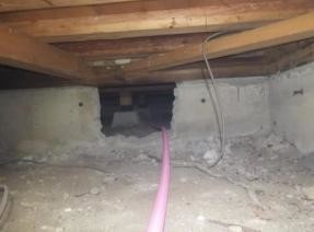 detached 愛媛県西条市樋之口134-1 喜多川ｺｰﾎﾟ1F