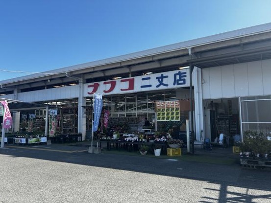 detached 福岡県福岡市博多区那珂１丁目13-9 ND.BLD2階