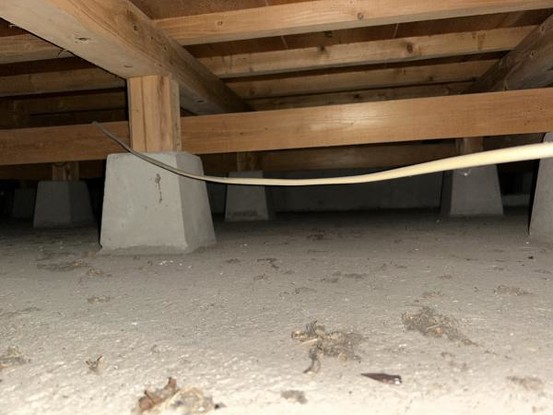 detached 大分県中津市中殿町３丁目1番地1　グリーンパレス中津壱番館1階102号