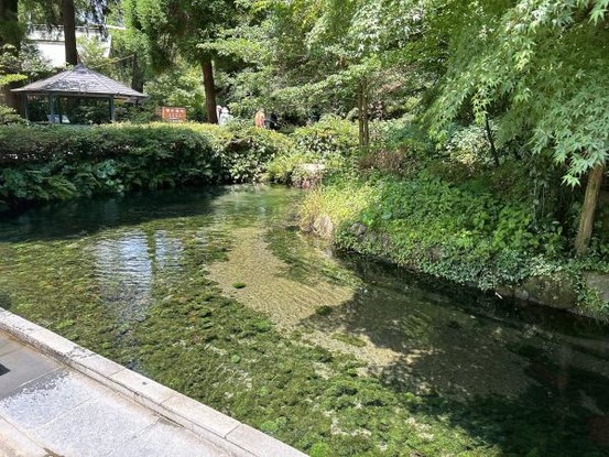 detached 熊本県熊本市中央区帯山６丁目3番37号 ペアレンツ坂本２－A