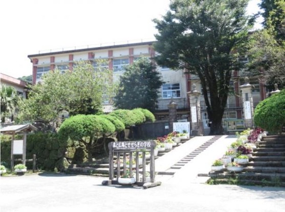 detached 鹿児島県鹿児島市新照院町6-5　永吉ビル201