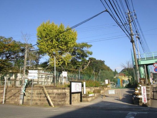 detached 鹿児島県鹿児島市新照院町6-5　永吉ビル201