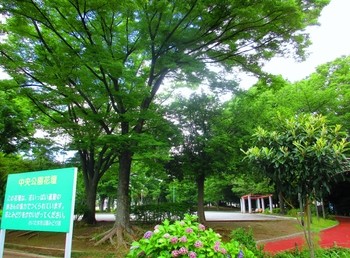 apartment 埼玉県さいたま市大宮区吉敷町４丁目261-1　　　キャピタルビル5Ｆ