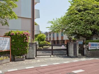 apartment 埼玉県さいたま市大宮区吉敷町４丁目261-1　　　キャピタルビル5Ｆ