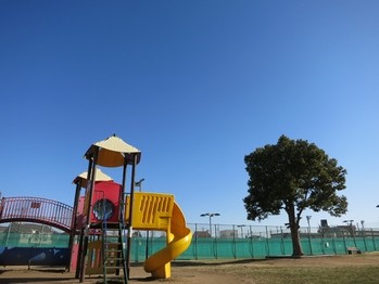 detached 埼玉県さいたま市大宮区吉敷町４丁目261-1　　　キャピタルビル5Ｆ