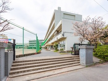 detached 埼玉県さいたま市大宮区吉敷町４丁目261-1　　　キャピタルビル5Ｆ