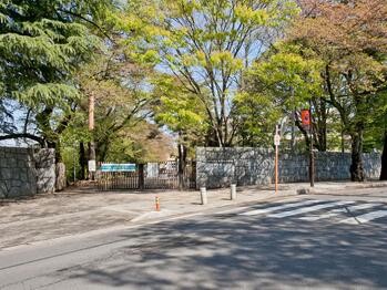 apartment 埼玉県さいたま市大宮区吉敷町４丁目261-1　　　キャピタルビル5Ｆ