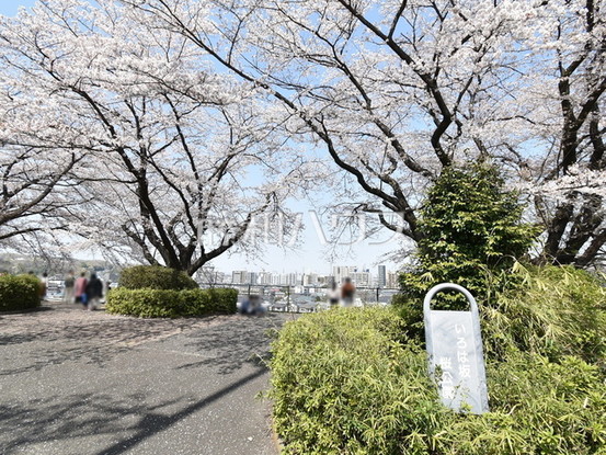 apartment 東京都多摩市関戸４丁目
地図を見る